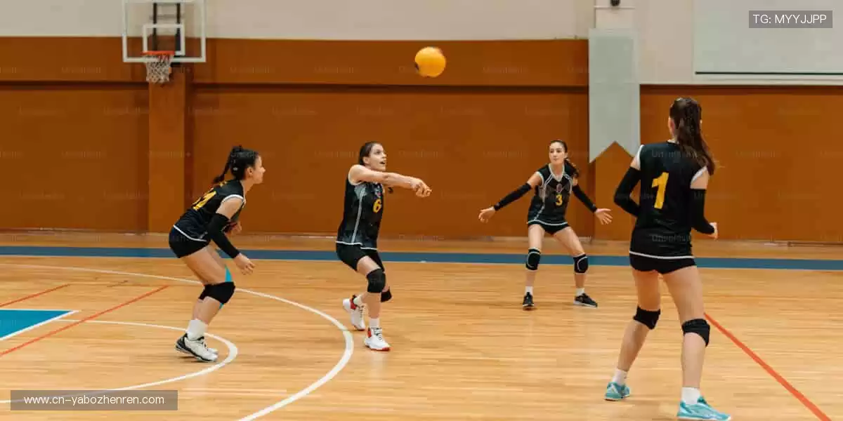 📱高清直播，随时随地掌控赛事！